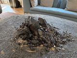 Photo 7/15 du lot