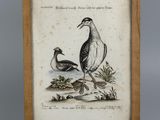 a framed picture of two birds sitting on a rock next to water