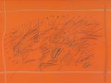 drawing of a field of grass on an orange sheet of paper