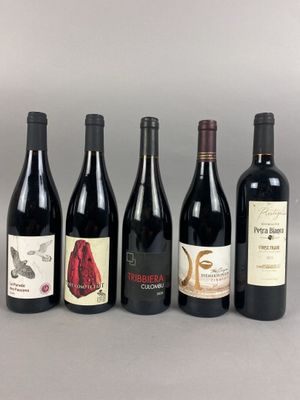 six bouteilles de vin sont alignées sur une surface grise