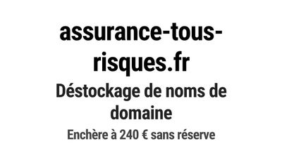 Nom de domaine assurance-tous-risques.