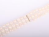 a single strand of white pearls with a gold clasp