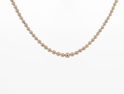 a gold beaded necklace on a mannequin mannequin mannequin mannequin mannequin mannequin mannequin mannequin mann