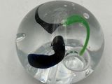 a glass ball with a black and green worm inside of it