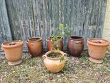 de nombreux pots posés dans l'herbe près d'une clôture