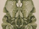 une image représentant un dessin d'un cerveau humain