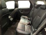 the back seats of a car are empty and the passenger seat is empty