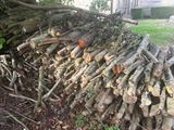 un tas de bois empilé par terre
