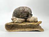 sculpture of a skull on a piece of driftwood on a white background