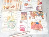 a picture of a book with pictures of different parts of the body