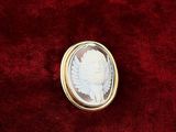 an image of a gold and white cameo broochle in a red velvet case