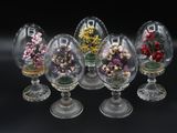 six vases en verre contenant des fleurs, posés sur une surface noire