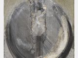 une image représentant un dessin d'une ampoule d'où s'échappe de la fumée