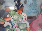 a painting of a woman sitting on a bench with a cat