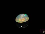 a close up of an oplite in the dark with a black background