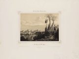 an old picture of a view of a city with palm trees