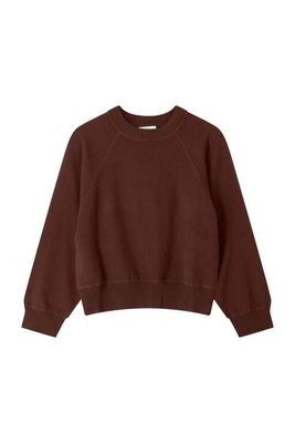 a brown sweatshirt with a long sleeves and a round neck