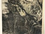 a picture of a deer that is running through the grass