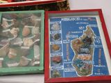 a picture of a display case with rocks in it