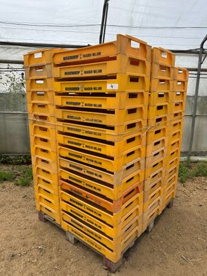 plusieurs palettes en bois empilées les unes sur les autres sur un sol en terre battue