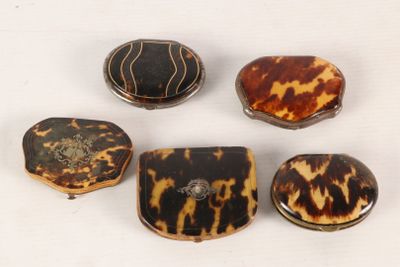six pieces of tortoises are arranged on a white surface