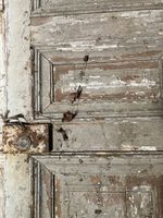 Double portes en chêne mouluré et laqué, de type Haussmanien… (photo 6)