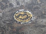 a metal plate with a yellow and black design on it