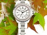 une photo d'une montre pour femme posée sur une surface recouverte de feuilles