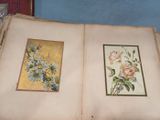 two pictures of flowers on the inside of an old book