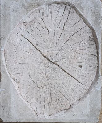 a piece of wood that has been carved into a wall