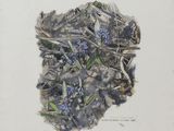 an image of a drawing of a blue flower on a piece of paper