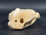 a small piece of rock with holes in it
