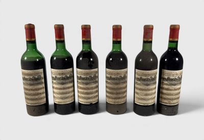 six bouteilles de vin sont alignées sur une surface blanche