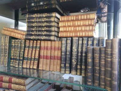 beaucoup de livres sur une étagère dans un magasin