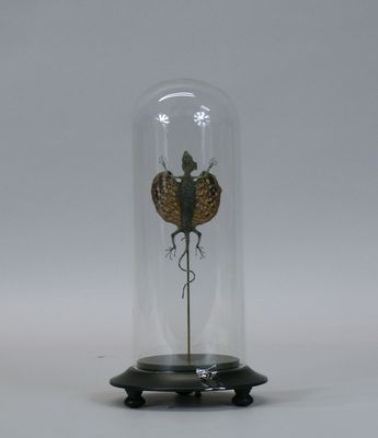 a glass bellow with a small insect inside of it