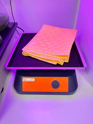 un petit lit recouvert d'une couverture, dans une chambre