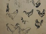 a drawing of a bunch of birds on the wall