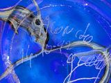 a blue plate with a fish on it with writing on it