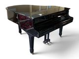 a grand piano that is sitting on a white surface