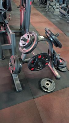 a gym room with a row of machines and weights