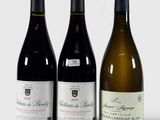 trois bouteilles de vin sont alignées sur une surface blanche