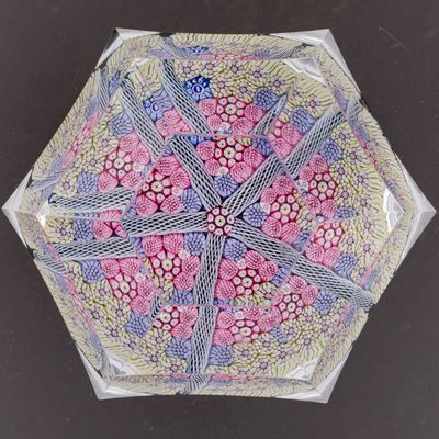 une photo d'un parapluie orné d'un motif floral