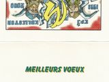 Photo 13/13 du lot