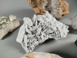 many different types of rocks that are on the table
