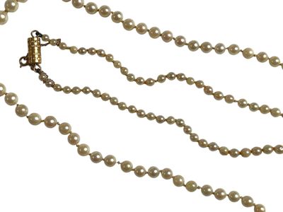 gros plan d'un collier de perles sur fond blanc