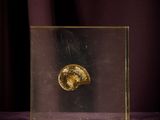a gold coin in a glass box on a purple cloth