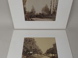 deux vieilles photos en noir et blanc représentant des arbres dans un parc