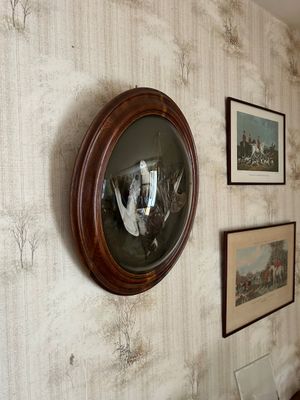 une photo d'un mur sur lequel est accrochée une photo d'un chien