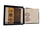 Photo 10/10 du lot