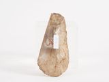a rock with a tag on it sitting on a white surface